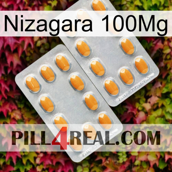 Nizagara 100Mg cialis4.jpg